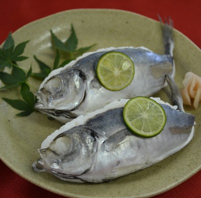 鰺の押し寿司