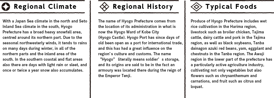 Hyogoの特徴