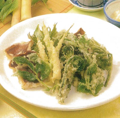 Tempura of wild vegetable