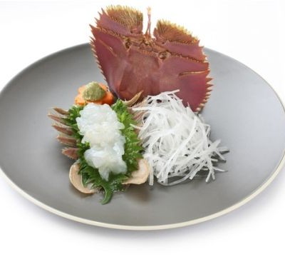 Japanese Fan Lobster Sashimi