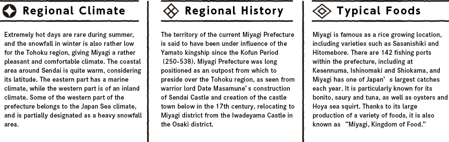 Miyagiの特徴