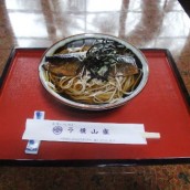 Nishin Soba (pacific herring noodle)