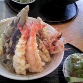 Tendon / Rice Bowl with Tempra on top