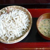 Hiyajiru Udon